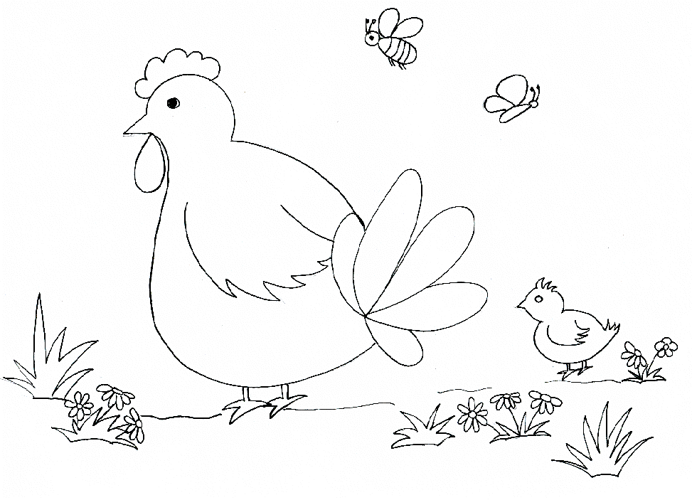 Gallina #4079