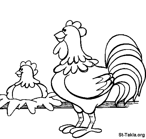 Gallina #4086