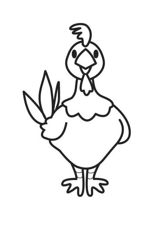 Gallina #4097