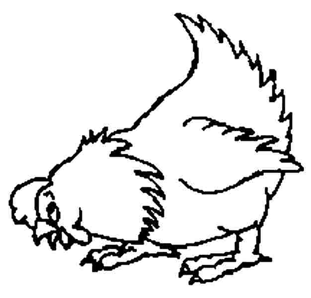 Gallina #4101