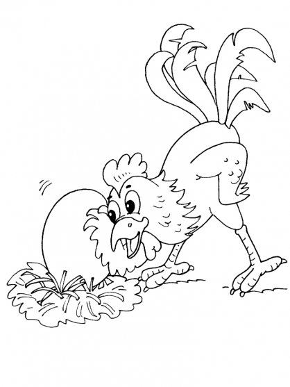 Gallina #4116