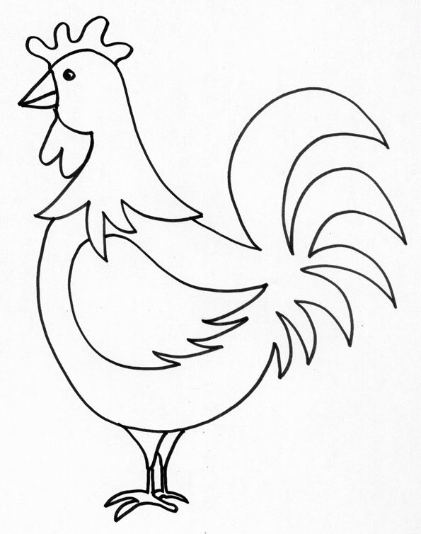 Gallina #4130