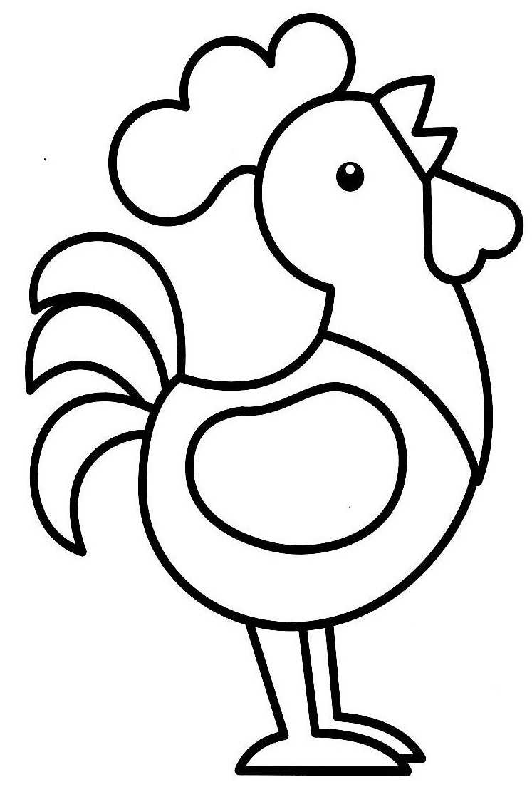 Gallo #4134