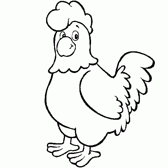 Gallo #4135
