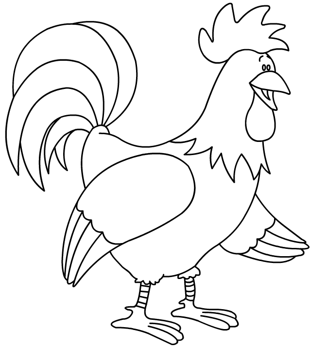 Gallo #4147