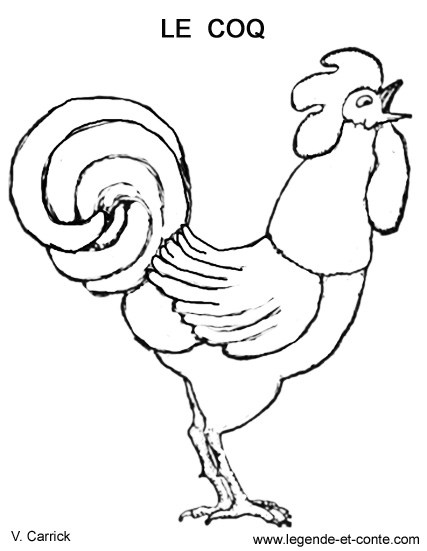 Gallo #4154