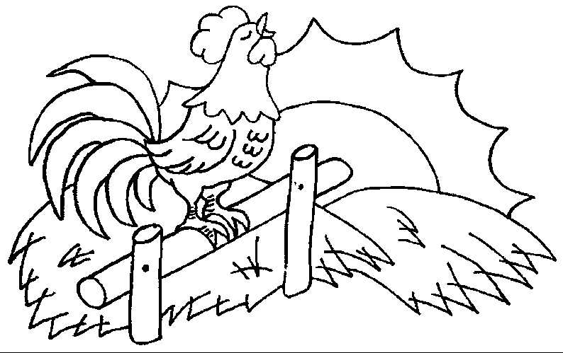 Gallo #4157
