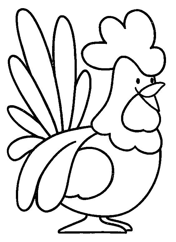 Gallo #4158