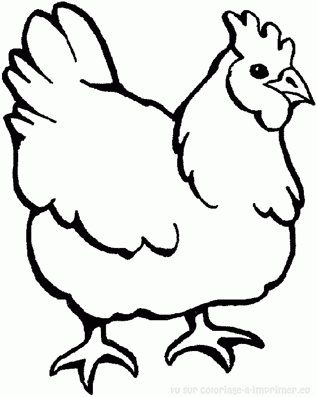 Gallo #4159
