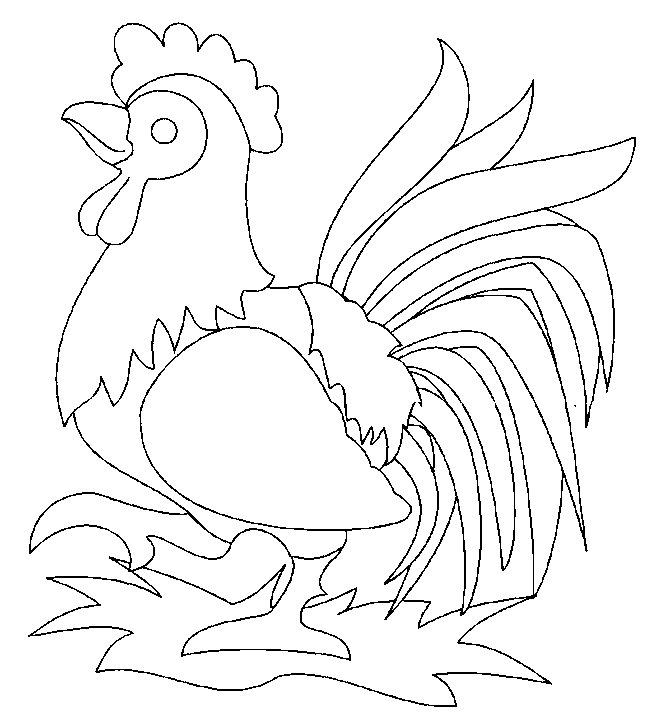 Gallo #4160