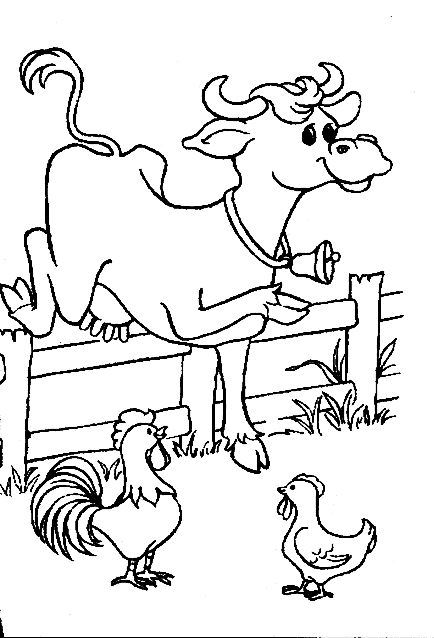 Gallo #4161