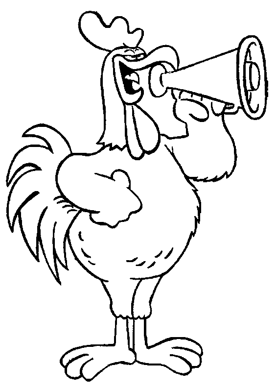 Gallo #4164