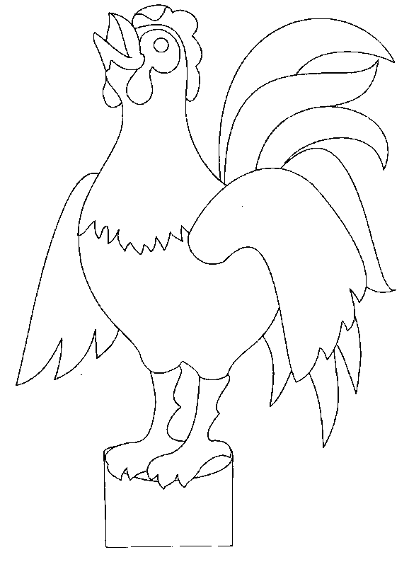 Gallo #4165