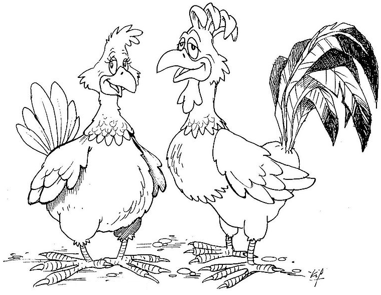 Gallo #4168