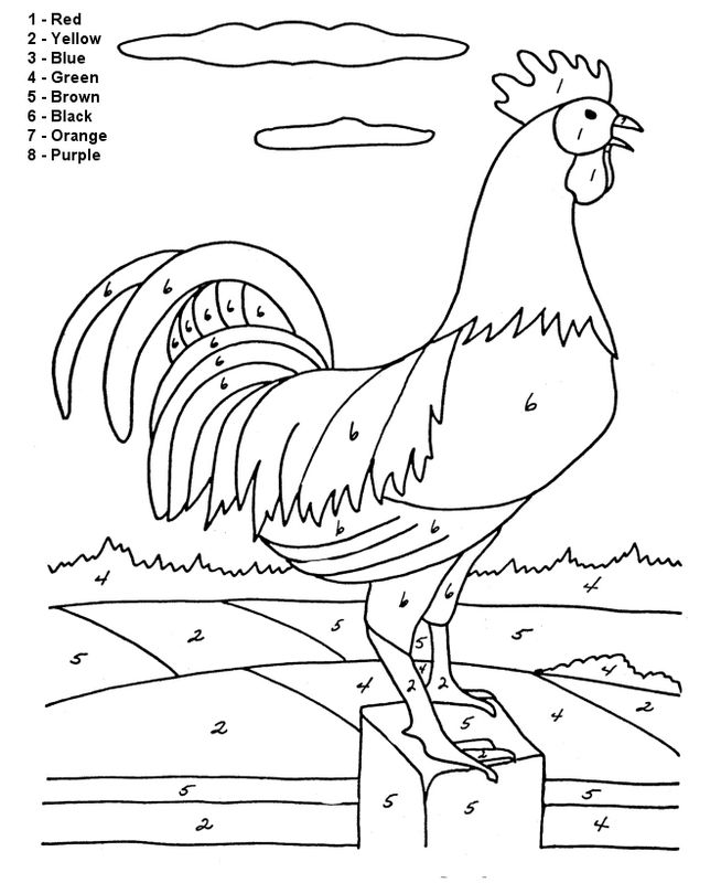 Gallo #4171