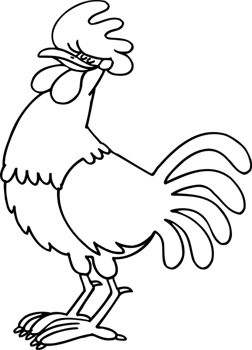 Gallo #4173