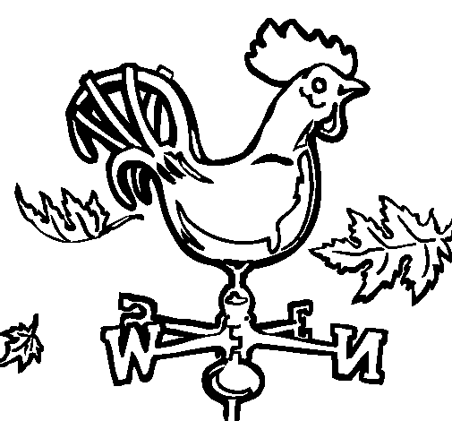 Gallo #4176