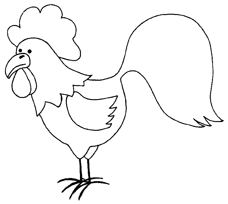 Gallo #4177