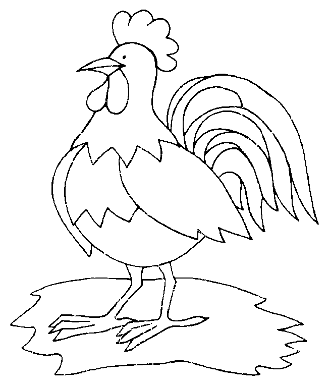 Gallo #4178