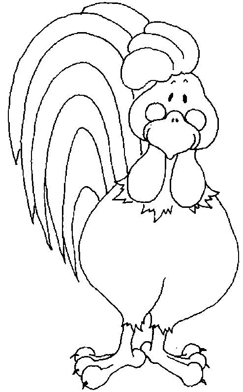 Gallo #4180