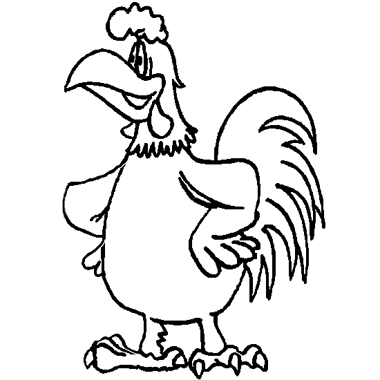 Gallo #4187