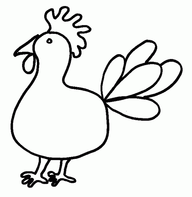 Gallo #4189