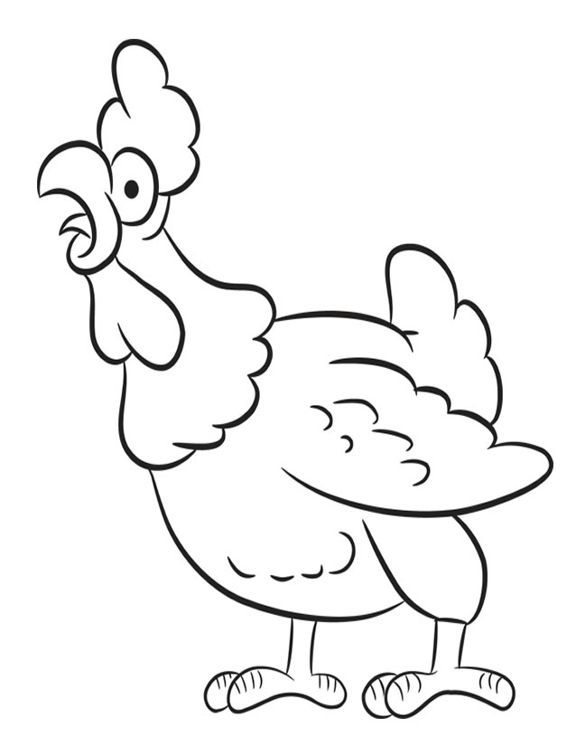 Gallo #4192