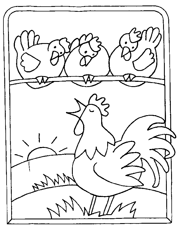 Gallo #4195