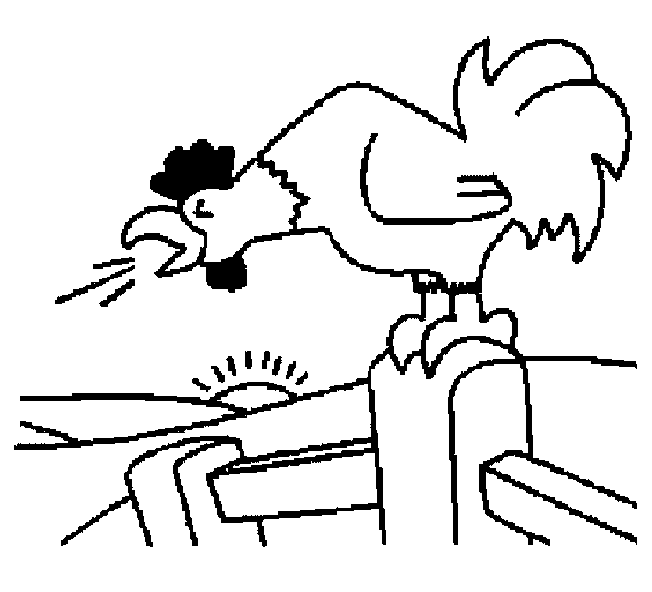 Gallo #4199