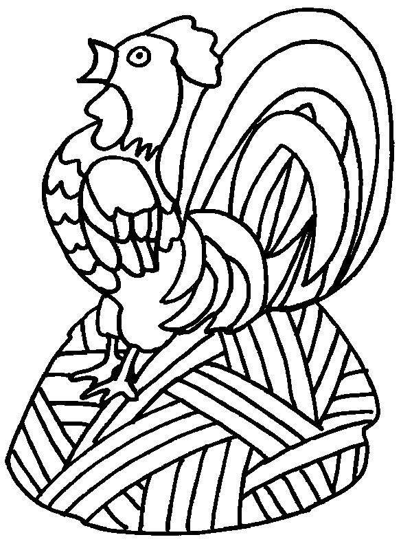 Gallo #4215