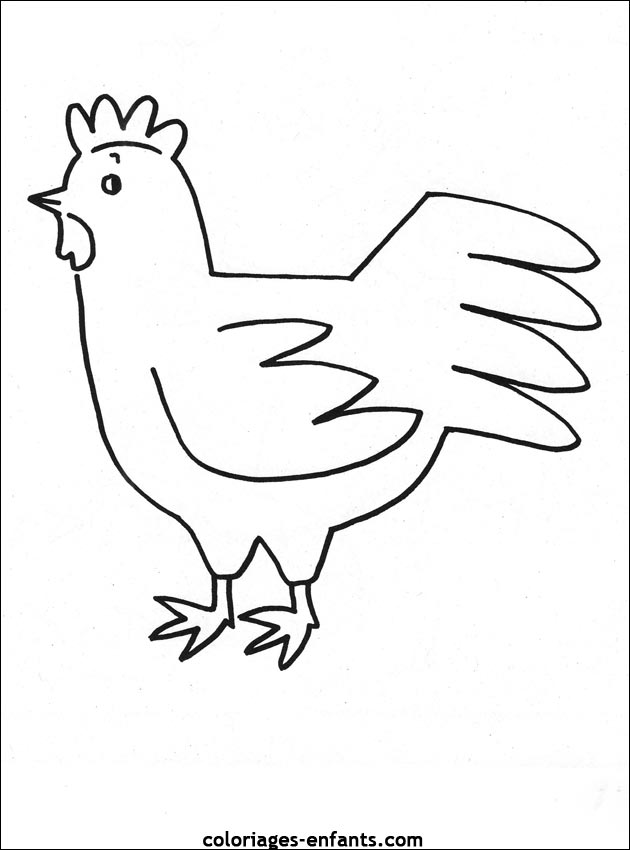 Gallo #4216