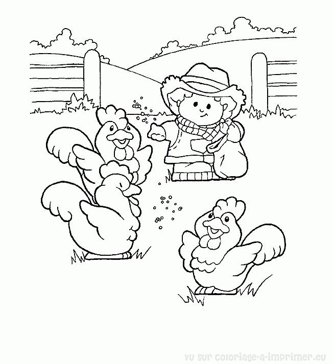 Gallo #4219