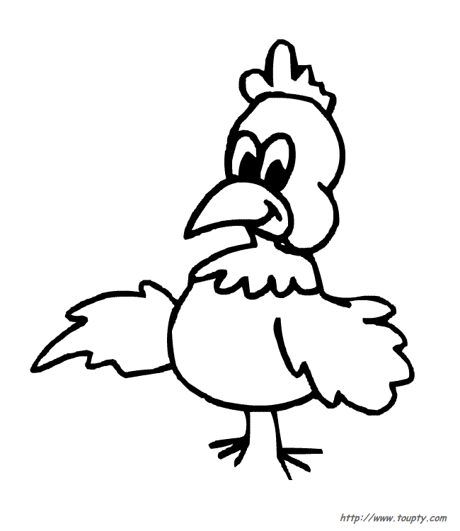 Gallo #4220