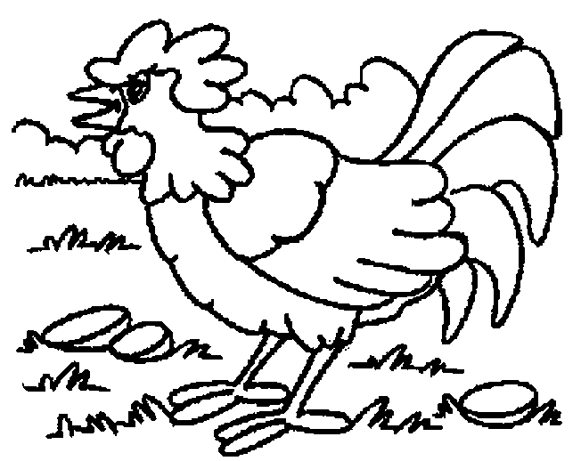 Gallo #4221