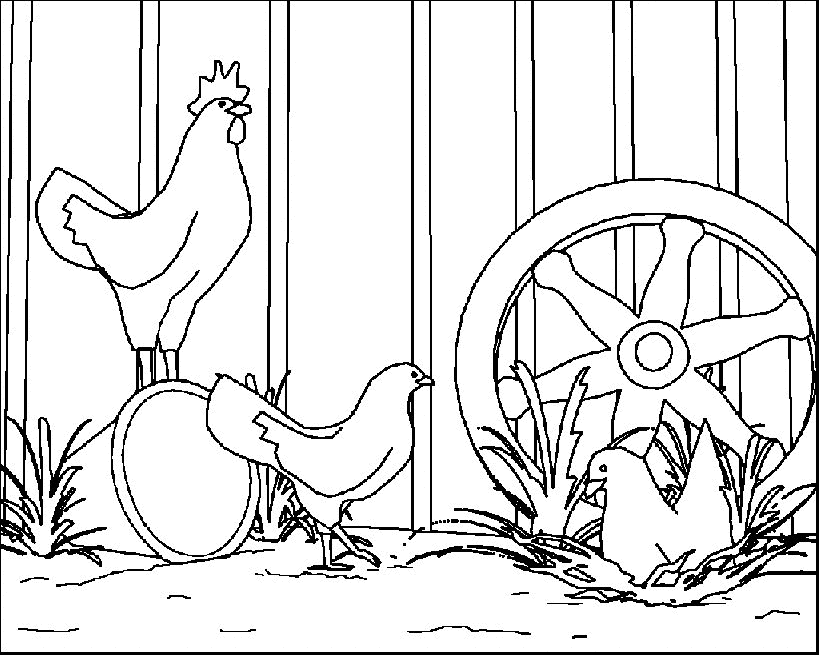 Gallo #4225