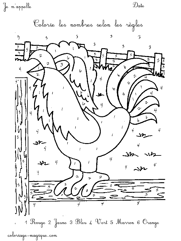 Gallo #4226