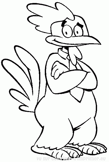 Gallo #4227