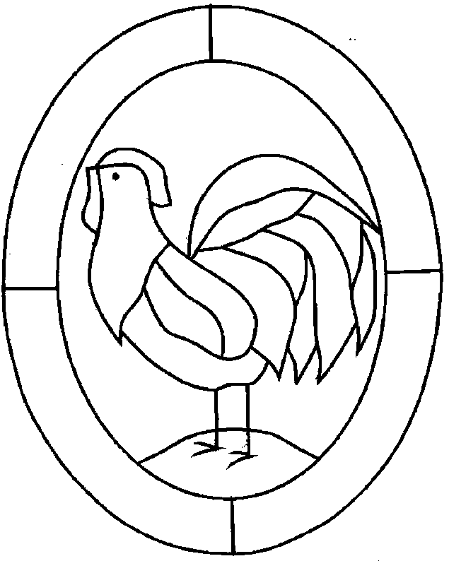 Gallo #4229