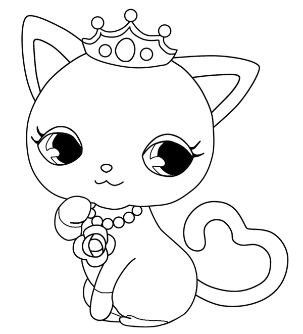 Gato #4305