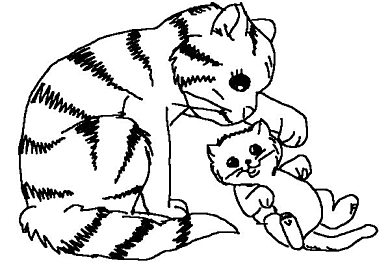Gato #4308
