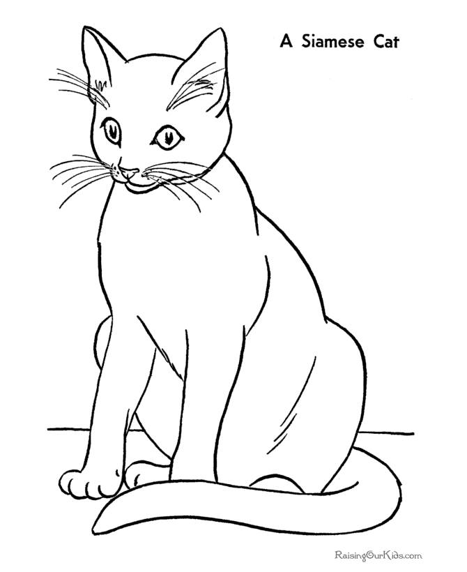 Gato #4310