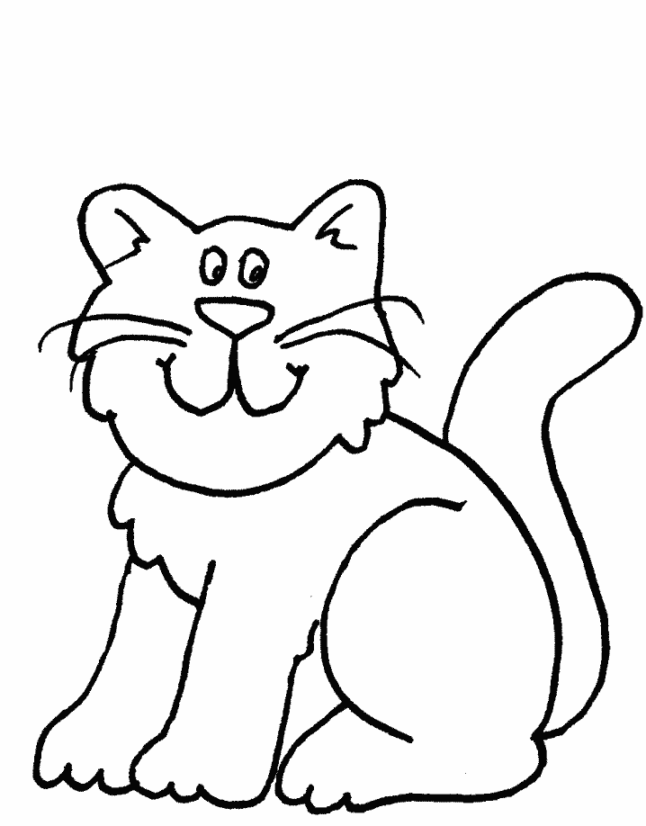 Gato #4311