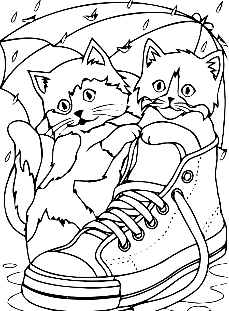 Gato #4313