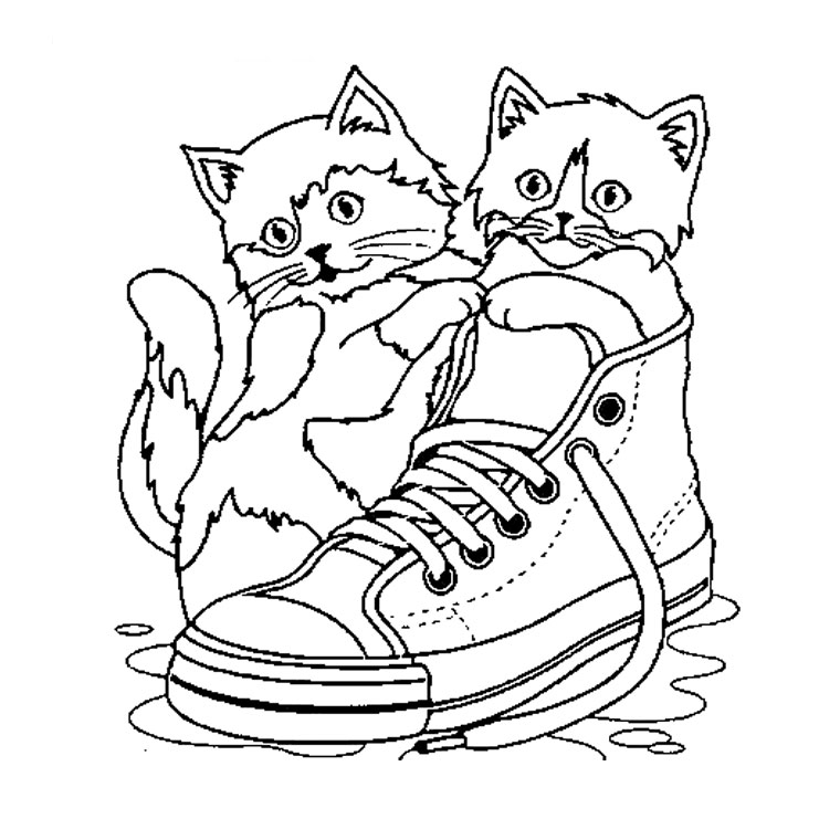 Gato #4317