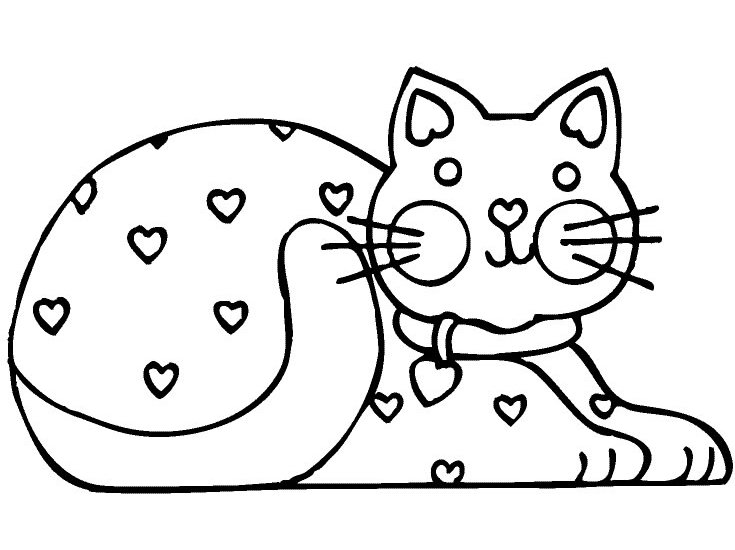Gato #4323