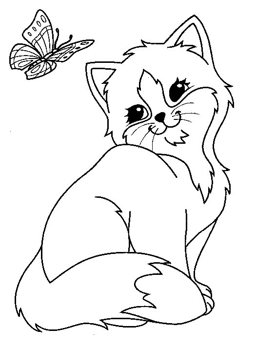 Gato #4325