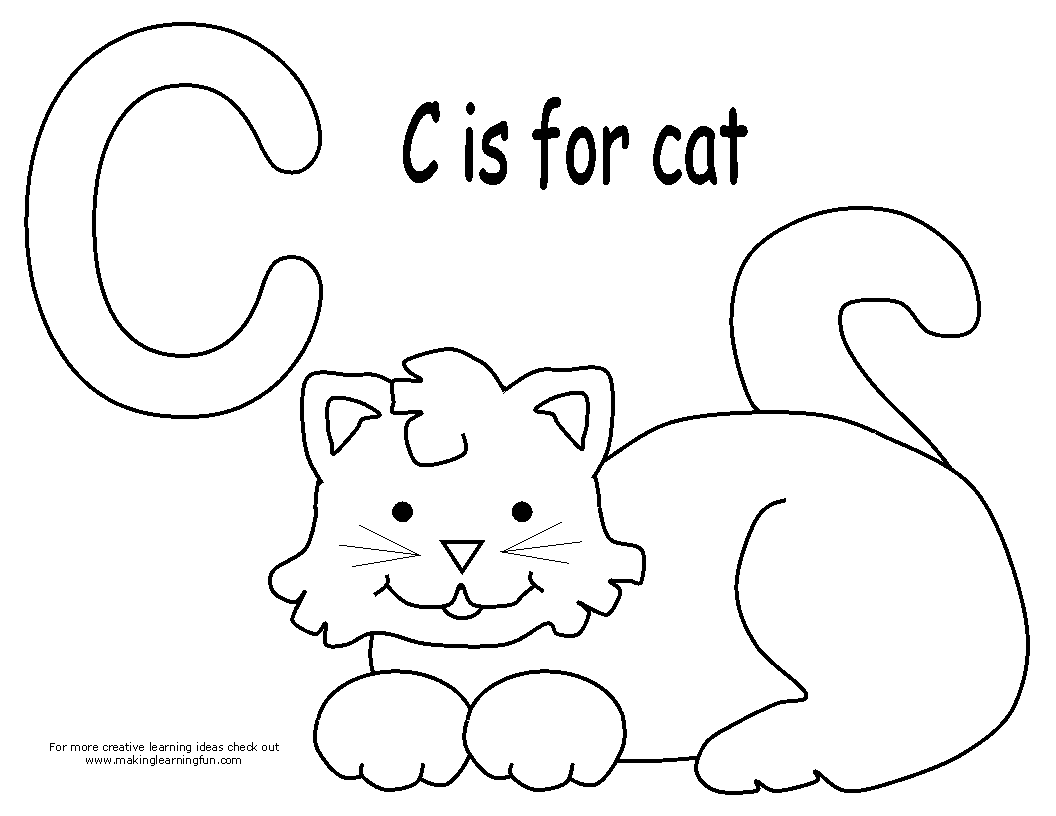 Gato #4335