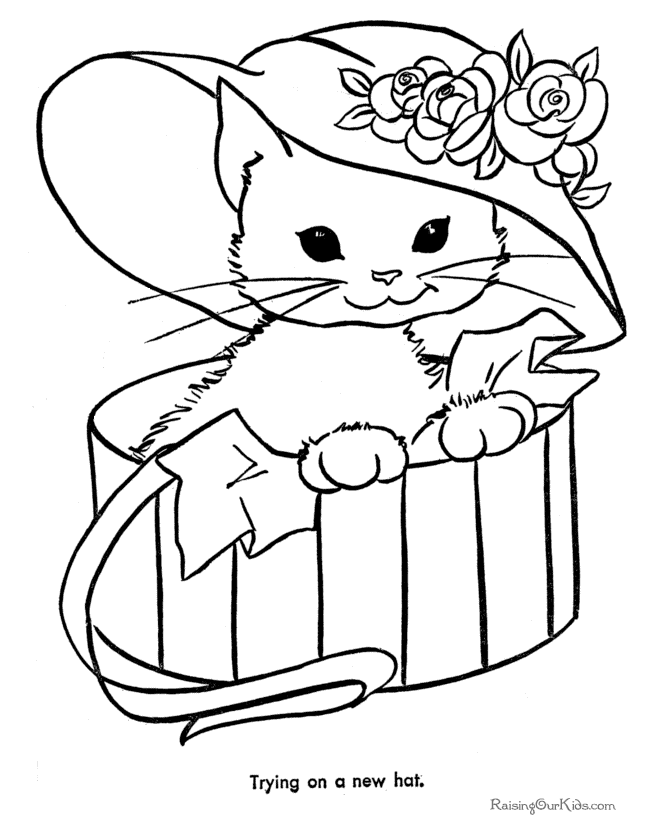 Gato #4339
