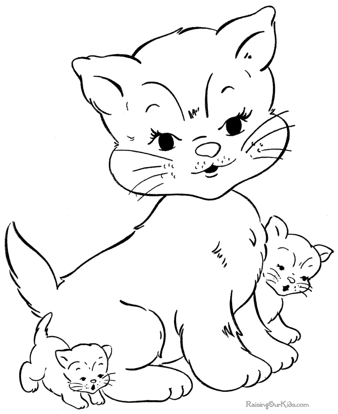 Gato #4341