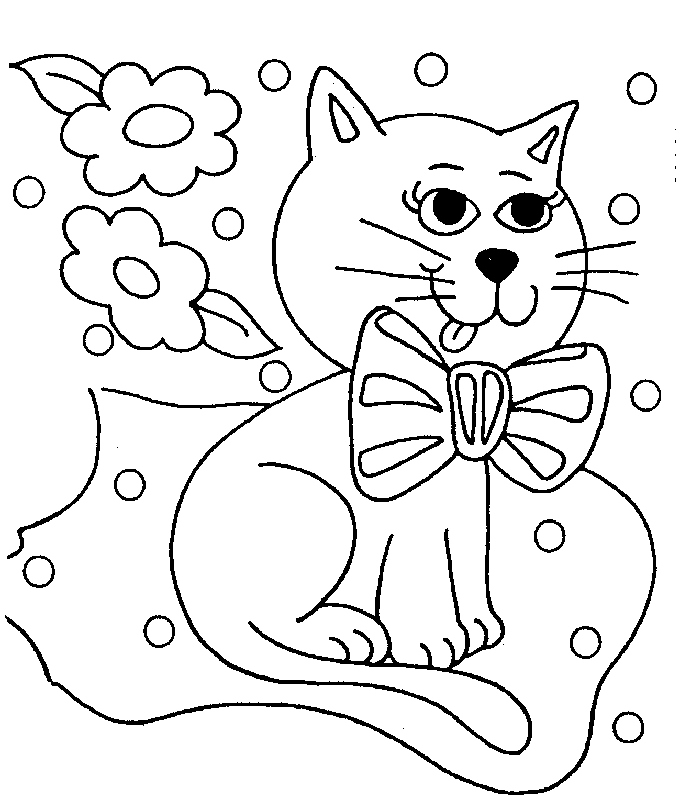 Gato #4347